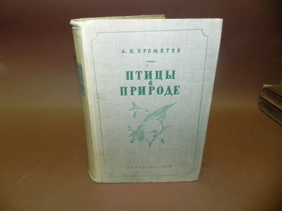 Промтов А.Н. Птицы в природе. Руководство для определения и изучения птиц в природных условиях.