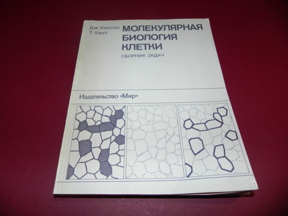Уилсон Д., Хант Т. Молекулярная биология клетки. Сборник задач.