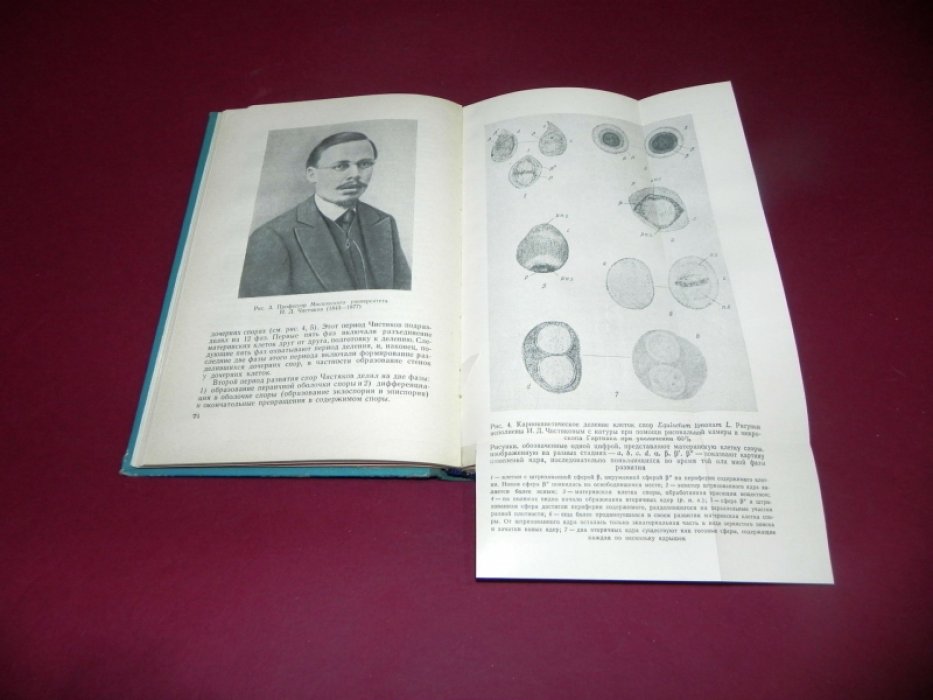 Щербакова А.А. История цитологии растений в России в XIX веке.