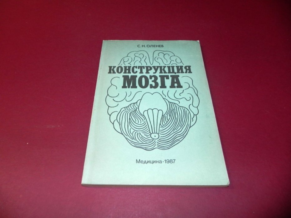 Оленев С.Н. Конструкция мозга.