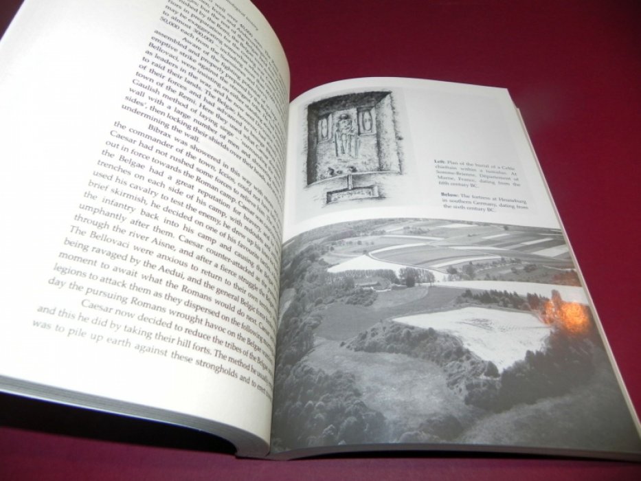 Daithi O hOgain. The Celts: A History / Кельты: История.