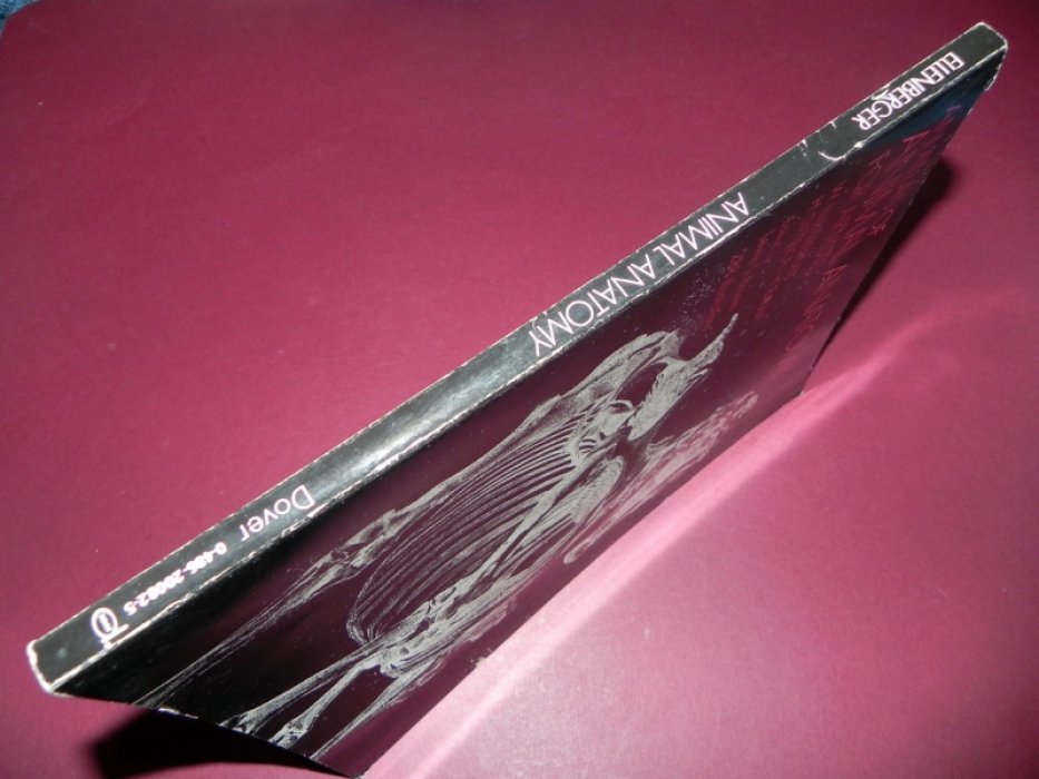 Ellenberger W., Baum H.,  Dittrich H. An Atlas of Animal Anatomy for Artists.