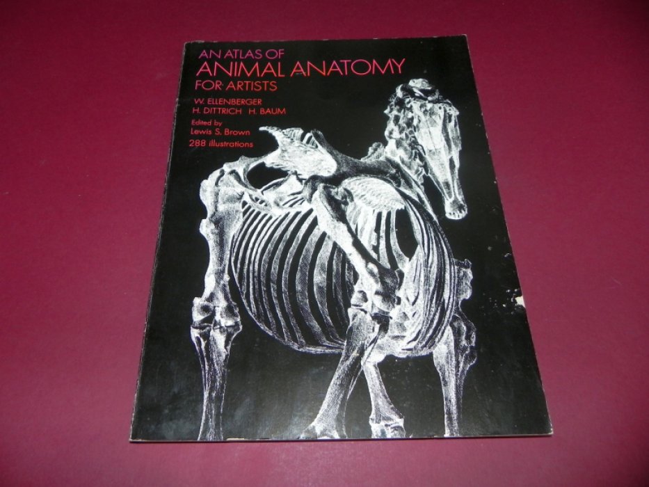 Ellenberger W., Baum H.,  Dittrich H. An Atlas of Animal Anatomy for Artists.