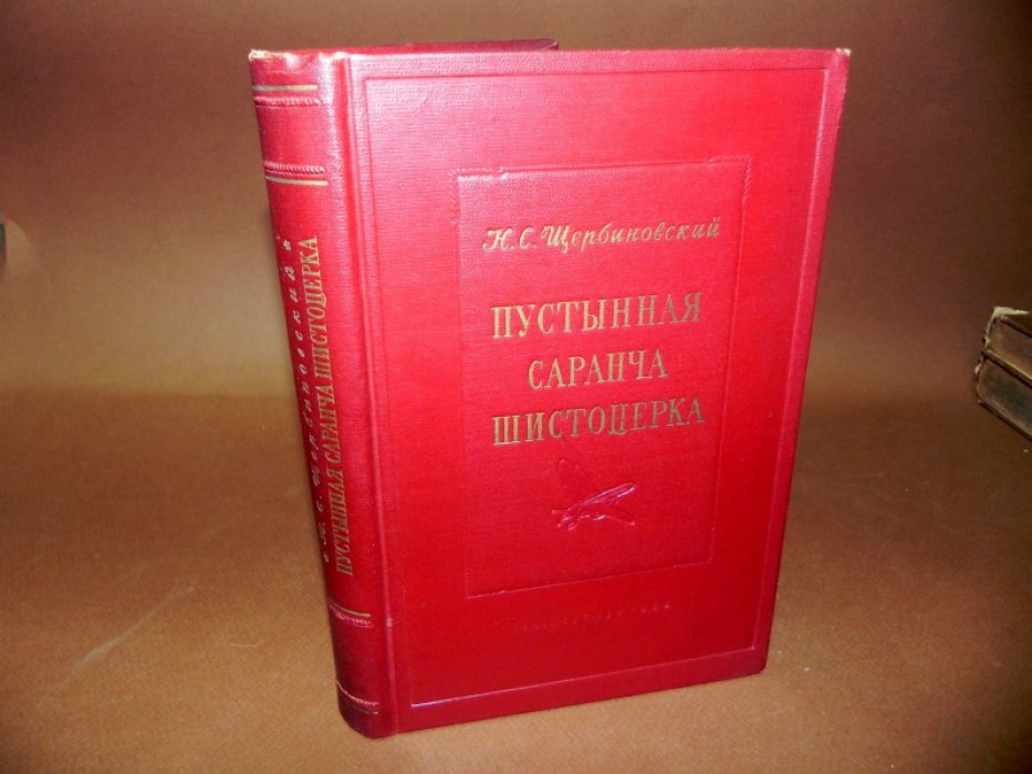 Щербиновский Н.С. Пустынная саранча шистоцерка.