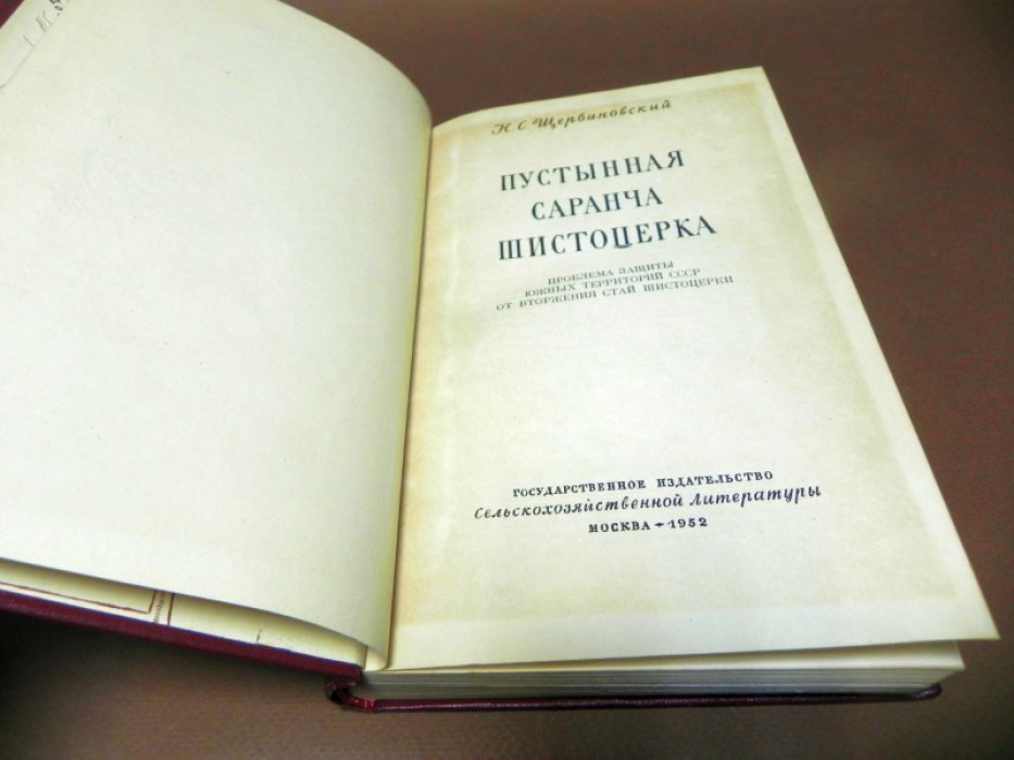 Щербиновский Н.С. Пустынная саранча шистоцерка.