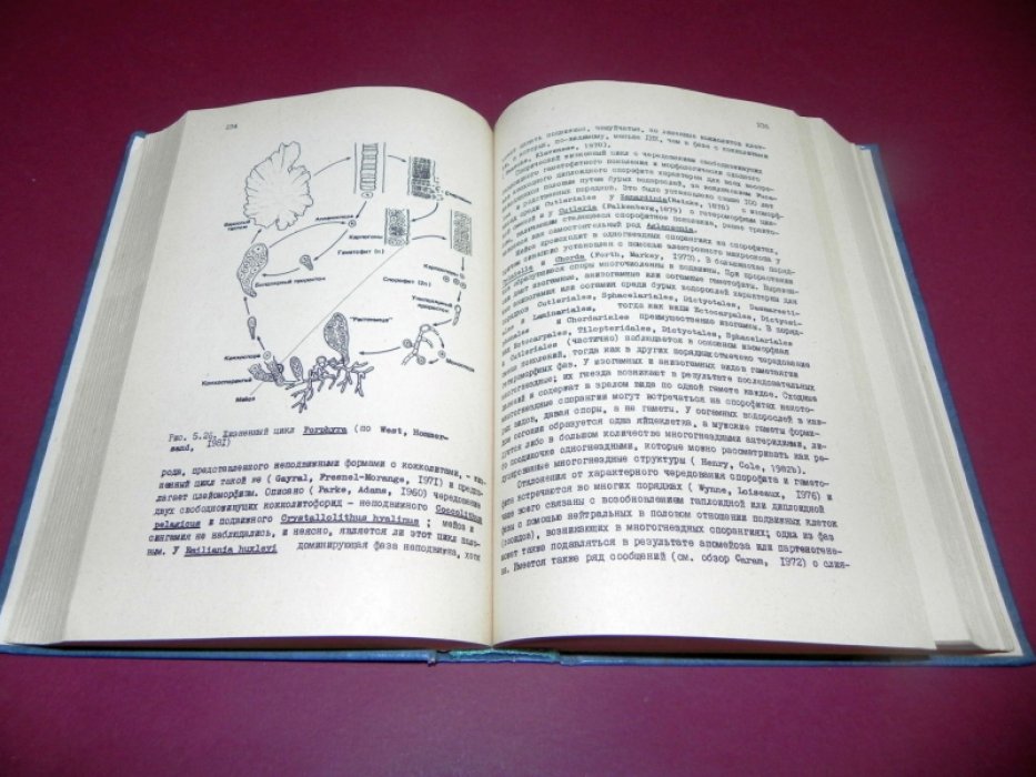 Саут Р., Уиттик А. Основы альгологии.