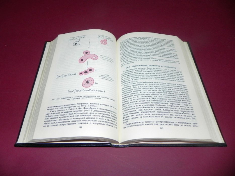 Инге-Вечтомов Сергей Георгиевич. Генетика с основами селекции.