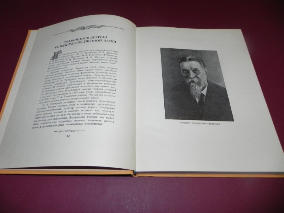 Эйтинген Г.Р. Лес в степи.