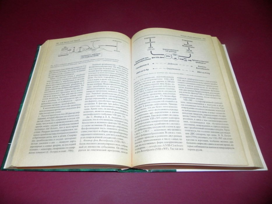 Зайчик А.Ш., Чурилов Л.П. Основы общей патологии.