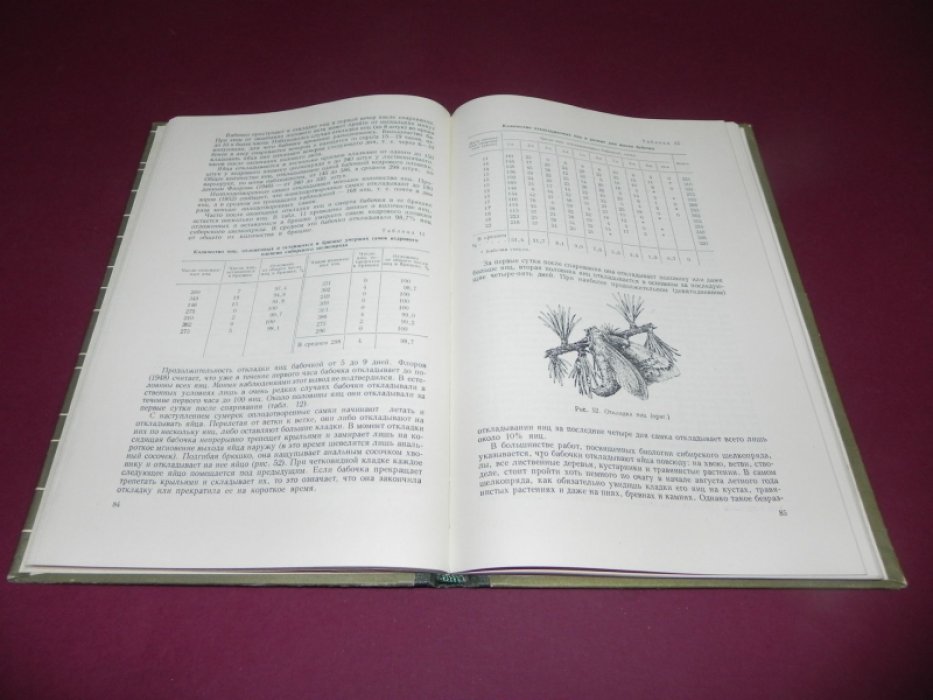 Рожков А. С. Сибирский шелкопряд.