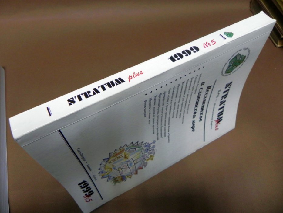 Stratum plus. 1999 № 5. Неславянское в славянском мире.