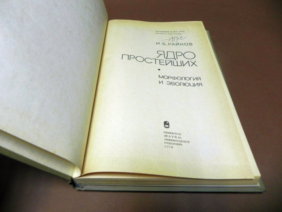 Райков И.Б.  Ядро простейших: морфология и эволюция. 