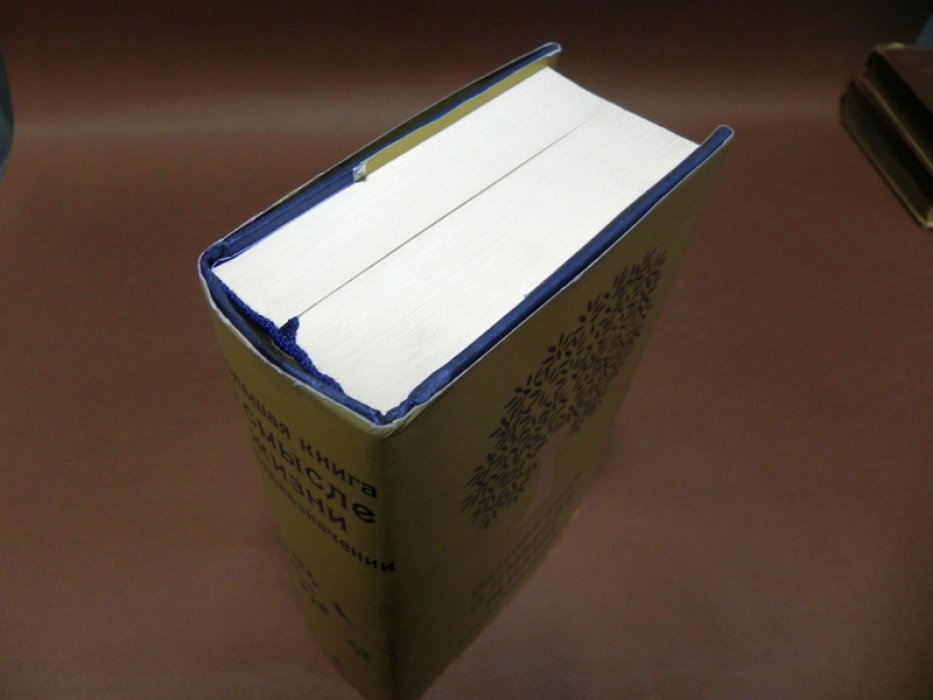 Жалевич Андрей Михайлович. Большая книга о смысле жизни и предназначении.