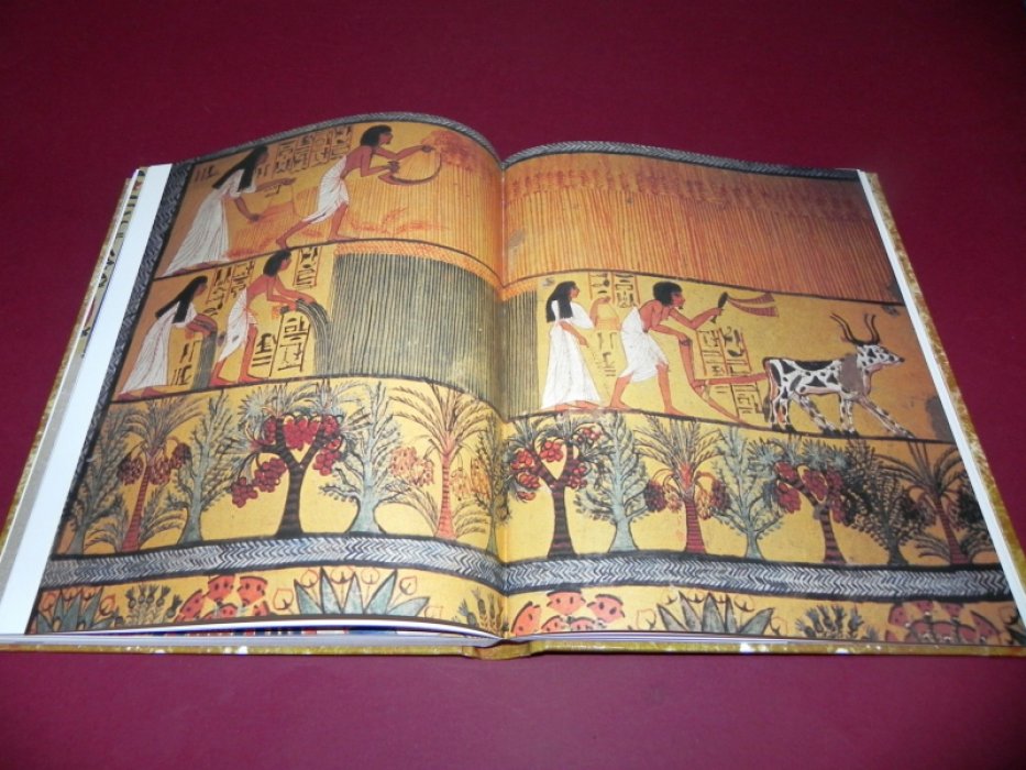Hamilton R. Ancient Egypt: The Kingdom of the Pharaohs. / Древций Египет: Царство Фараонов.