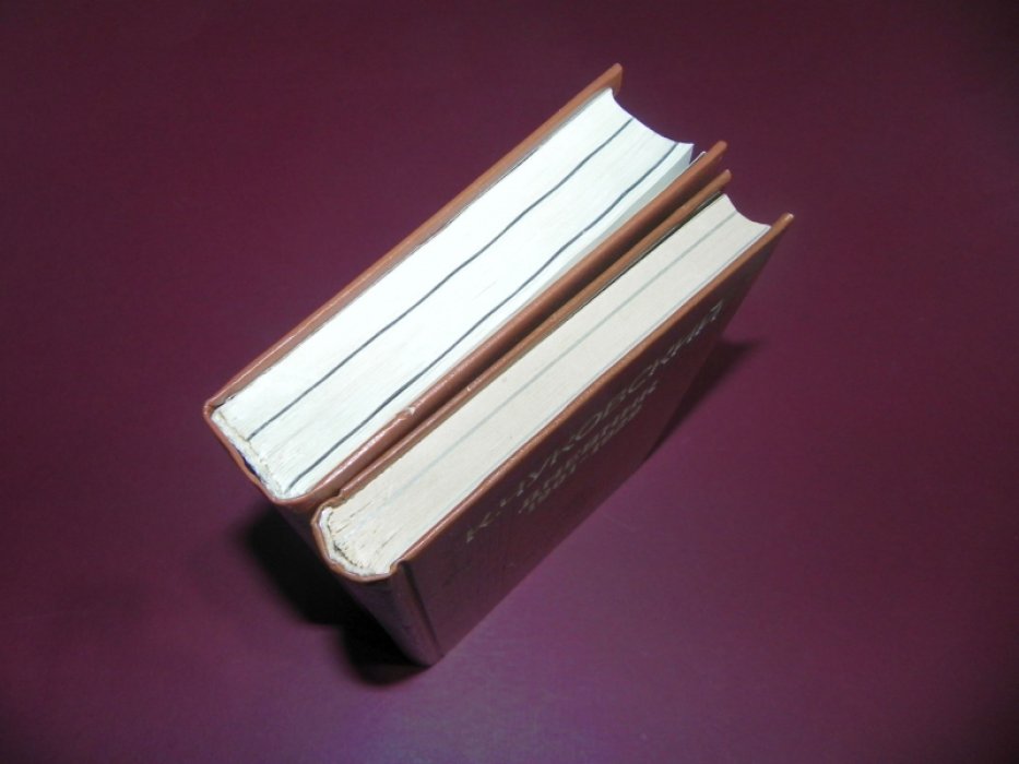 Чуковский К. Дневник. В 2-х томах. Том 1. 1901-1929. Том 2. 1930-1969.