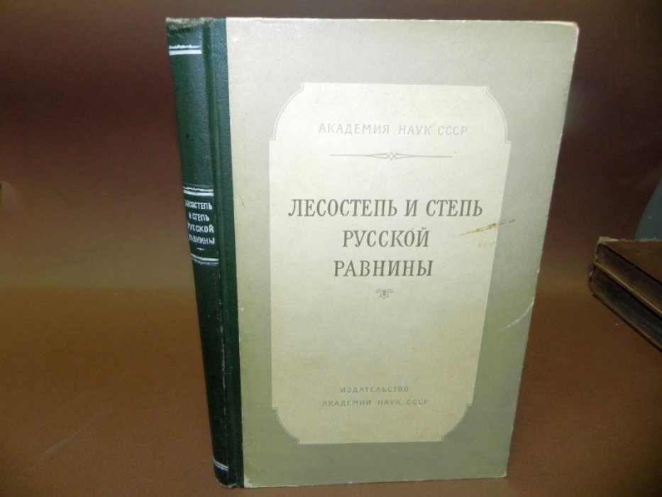 Лесостепь и степь русской равнины.