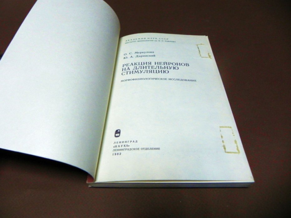Меркулова О.С., Даринский Ю.А. Реакция нейронов на длительную стимуляцию.