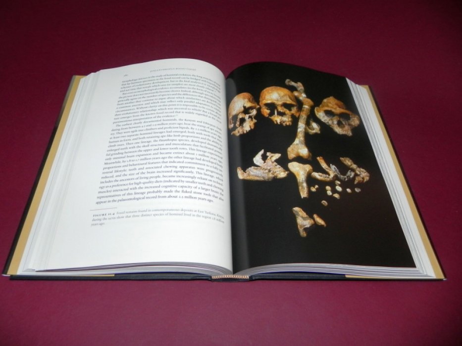 John Reader. Missing links
in search of human origins / Недостающие звенья
в поисках происхождения человека.