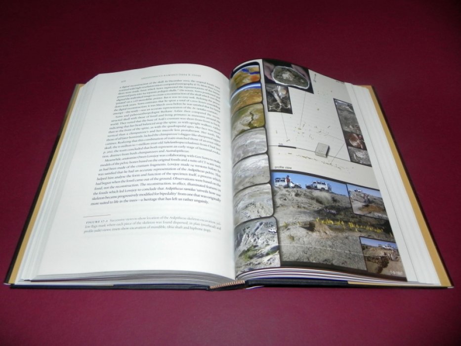 John Reader. Missing links
in search of human origins / Недостающие звенья
в поисках происхождения человека.