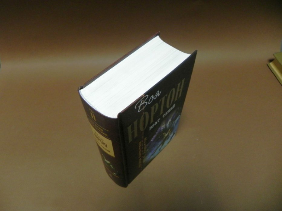 Нортон А. Брат теней.