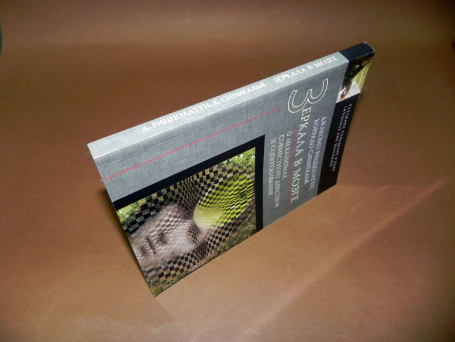 Риццолатти Джакомо, Синигалья Коррадо. Зеркала в мозге: о механизмах совместного действия и сопереживания.