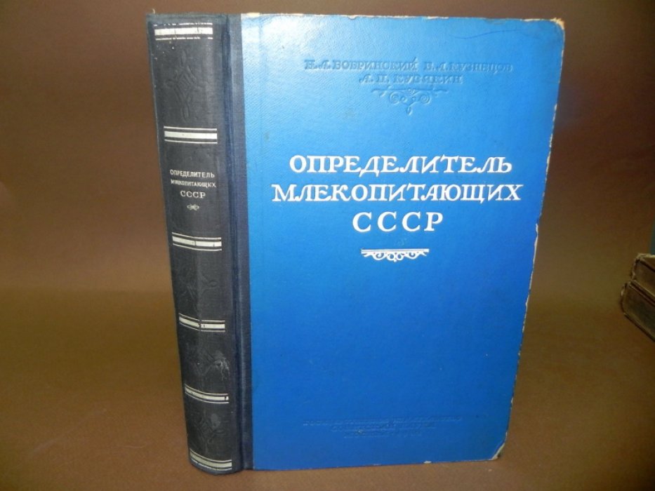 Бобринский Н., Кузнецов Б., Кузякин А. Определитель млекопитающих СССР.