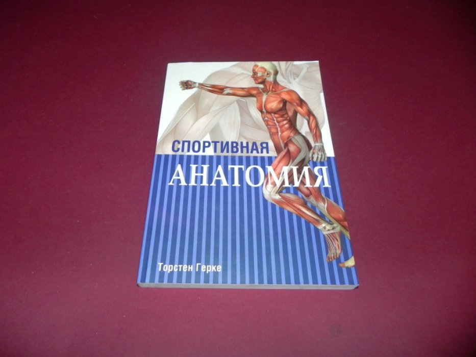 Герке Торстен. Спортивная анатомия.