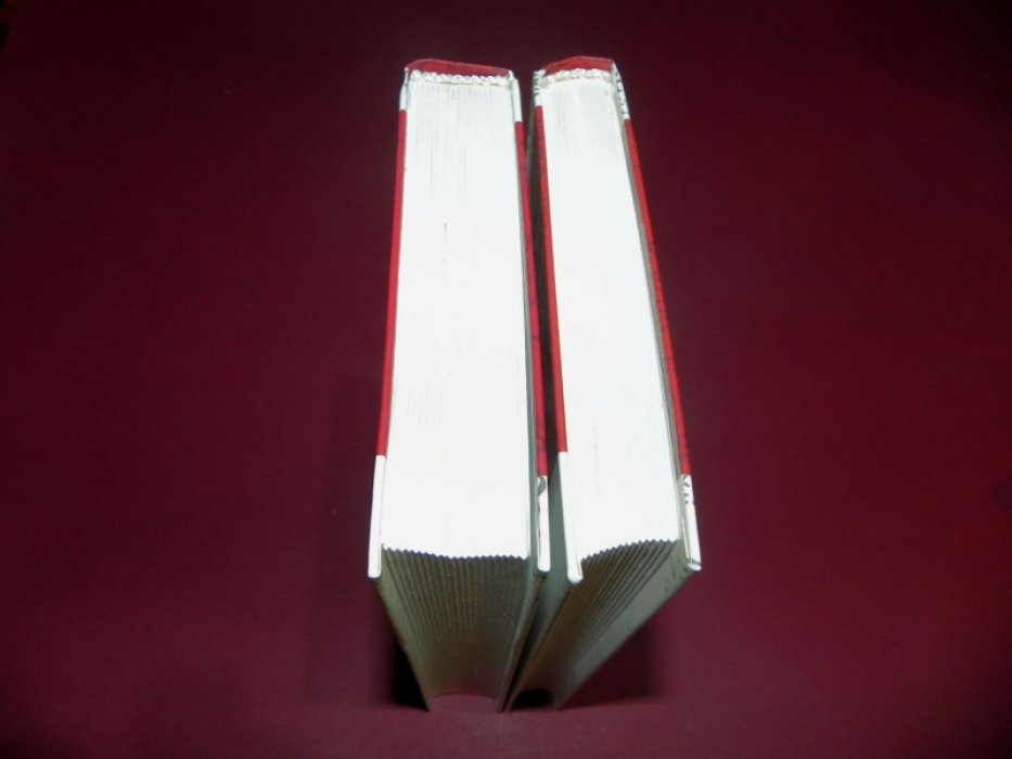 Мандельштам Надежда. Воспоминания. Вторая книга.