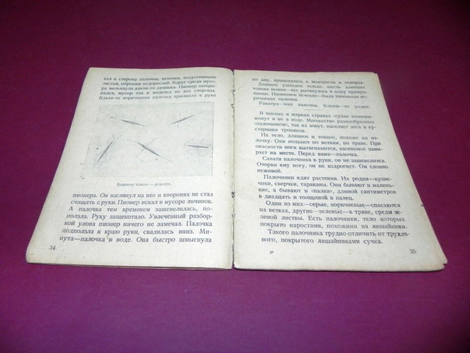 Плавильщиков Н. Защита.