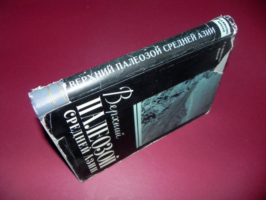 Миклухо-Маклай А.Д. Верхний палеозой Средней Азии.