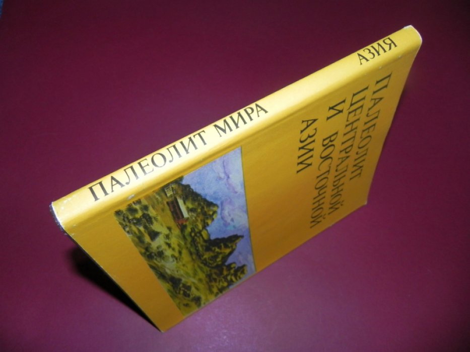 Палеолит Центральной и Восточной Азии.