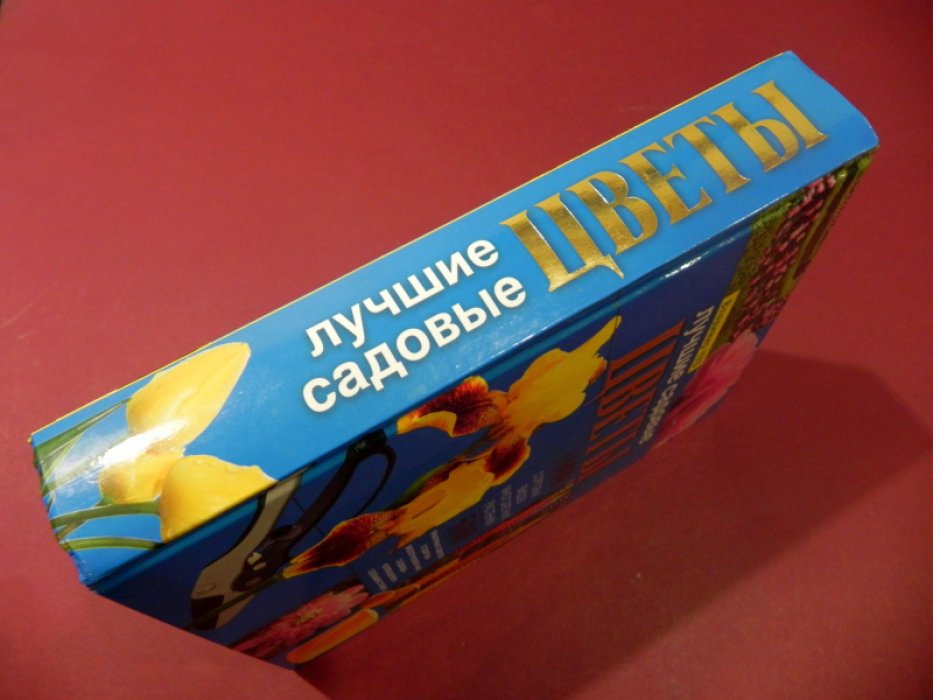 Чуб В. Лучшие садовые цветы.