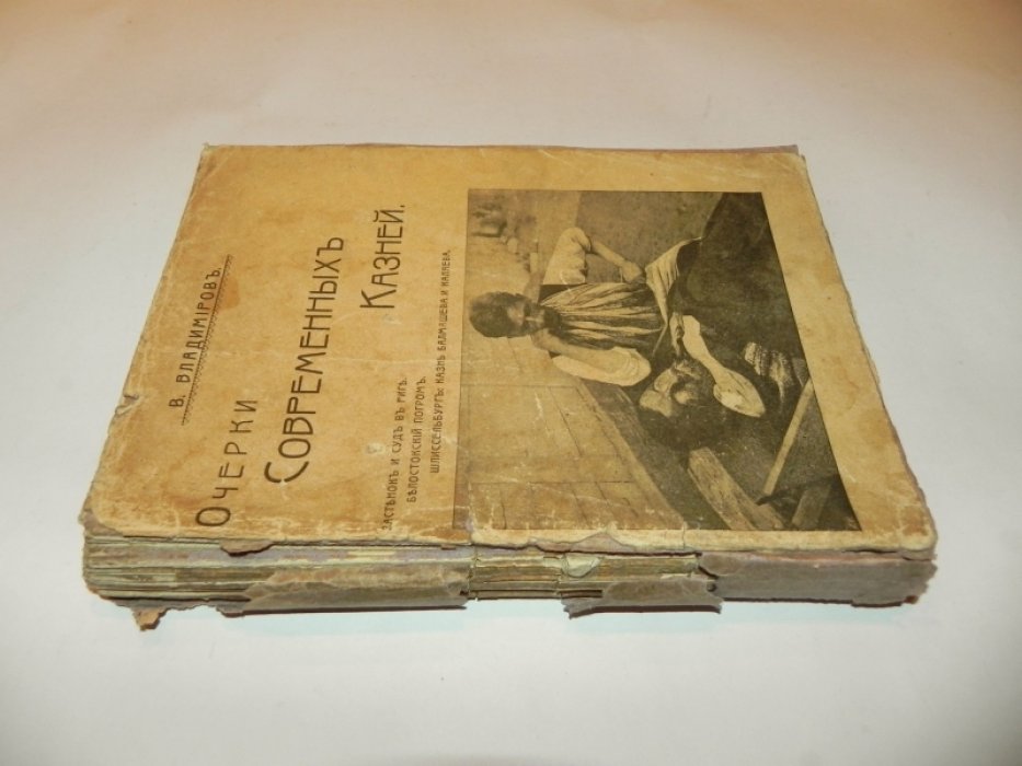 Владимиров В. Очерки современных казней.