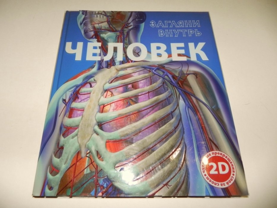 Загляни внутрь. Человек.