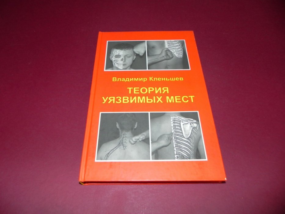 Кленьшев В.Г. Теория уязвимых мест.