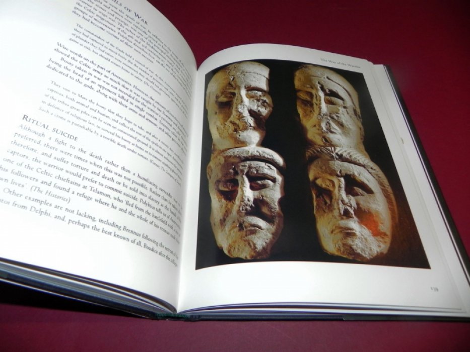 Stephen Allen. Lords of Battle: The World of the Celtic Warrior / Владыки Битвы: Мир кельтского Воина.