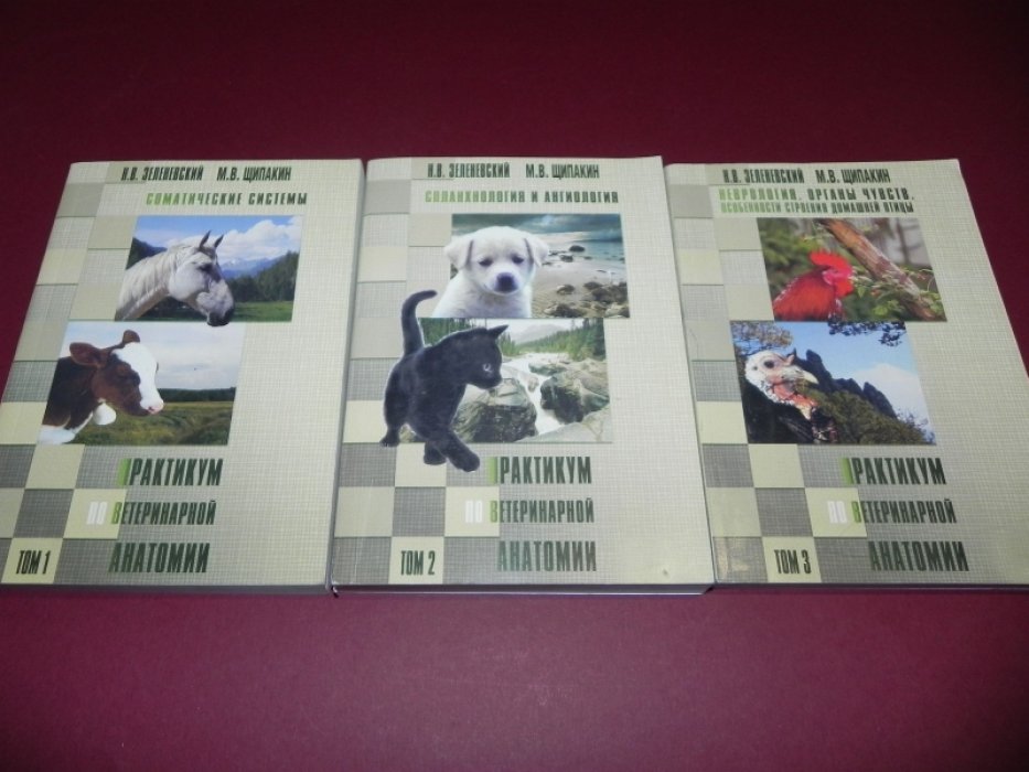 Зеленевский Н. В., Щипакин М.В. Практикум по ветеринарной анатомии. В трех томах. Том 1. Соматические системы. Том 2. Спланхнология и ангиология. Том 3. Неврология. Органы чувств. Особенности строения домашней птицы.