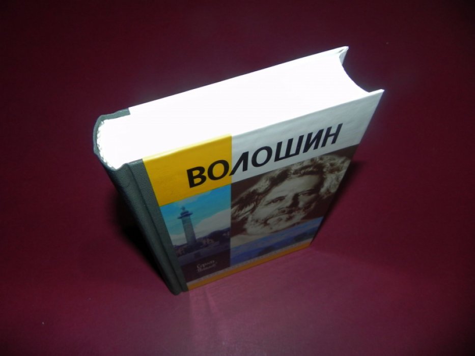 Пинаев Сергей. Максимилиан Волошин, или Себя забывший бог.