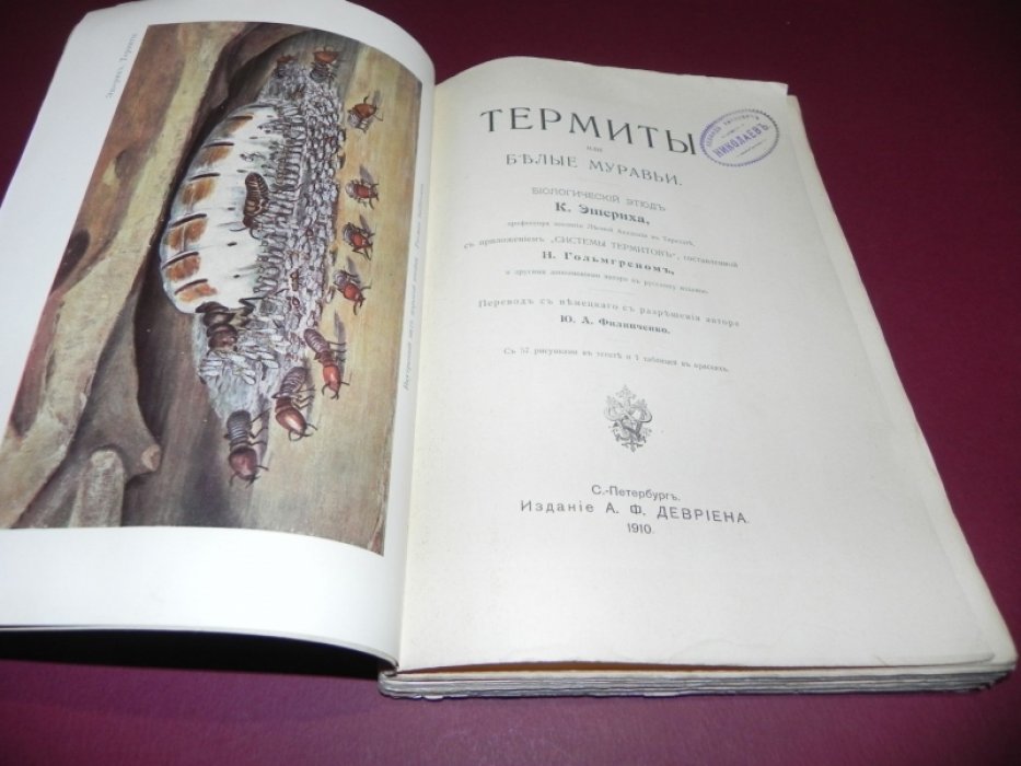 Эшерих К. Термиты или Белые муравьи.