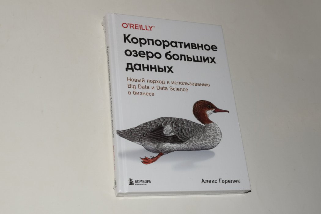 Горелик А. Корпоративное озеро больших данных. Новый подход к использованию Big Data и Data Science в бизнесе.