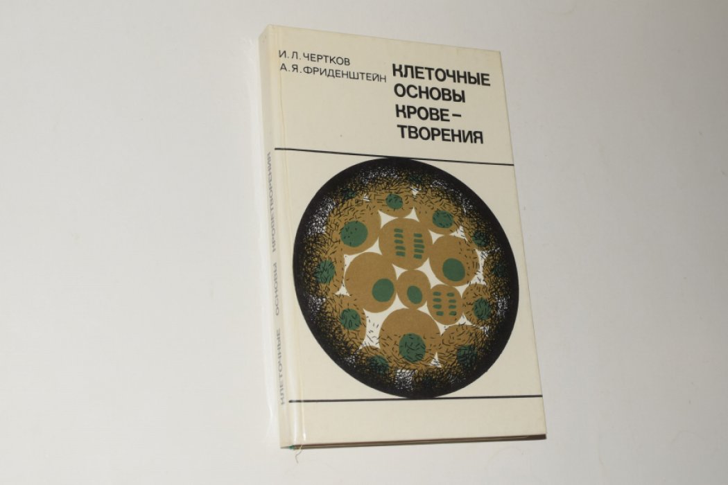 Чертков И.Л., Фриденштейн А.Я. Клеточные основы кроветворения. Кроветворные клетки-предшественники.