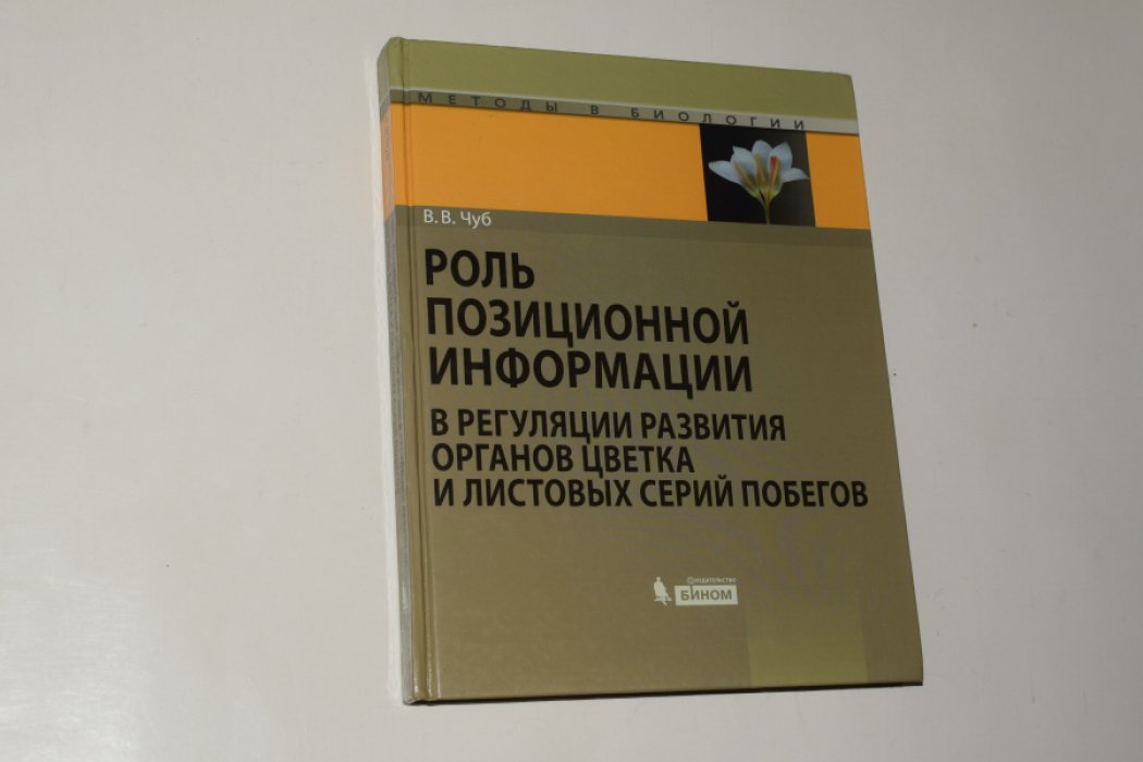 Чуб В.В. Роль позиционной информации в регуляции развития органов цветка и листовых серий побегов.