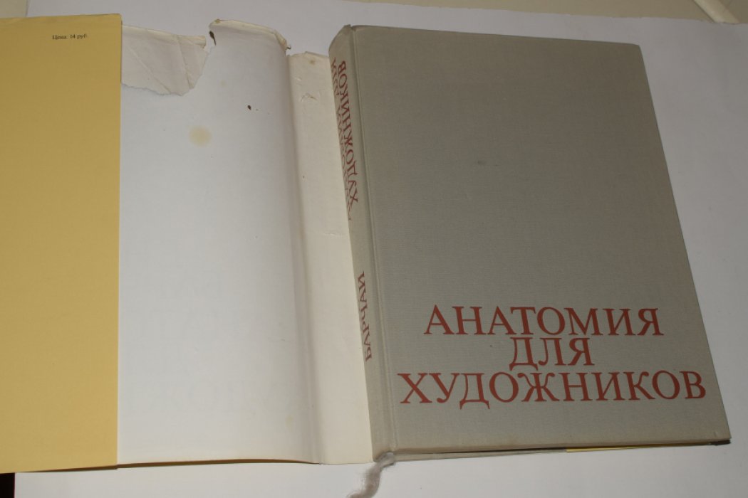 Барчаи Ене. Анатомия для художников.