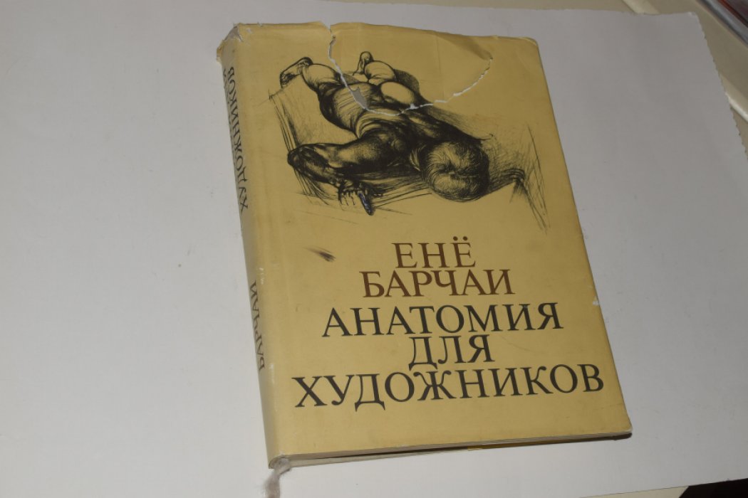 Барчаи Ене. Анатомия для художников.