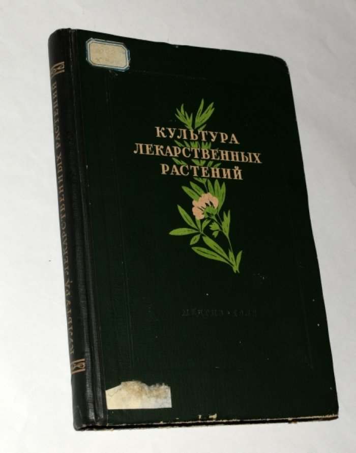 Культура лекарственных растений.
