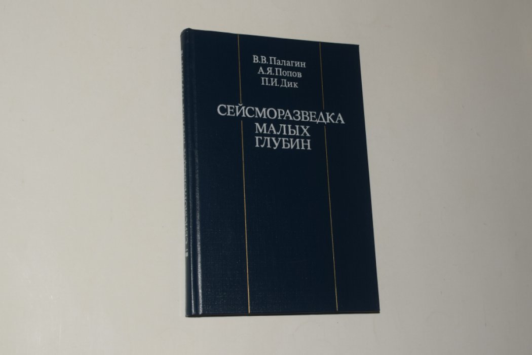 Палагин В.В., Попов А.Я., Дик П.И. Сейсморазведка малых глубин.