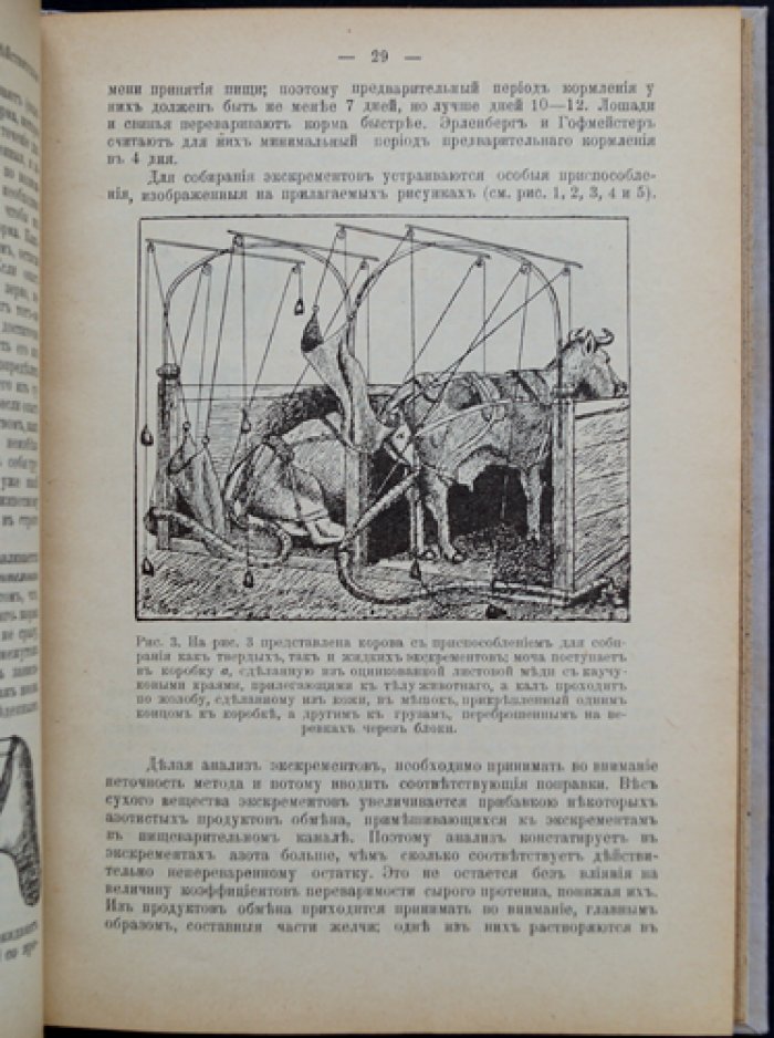 Проф. И. И. Калугин. Кормление домашних животных: рекомендации по заготовке, хранению и рациону (с рисунками в тексте)