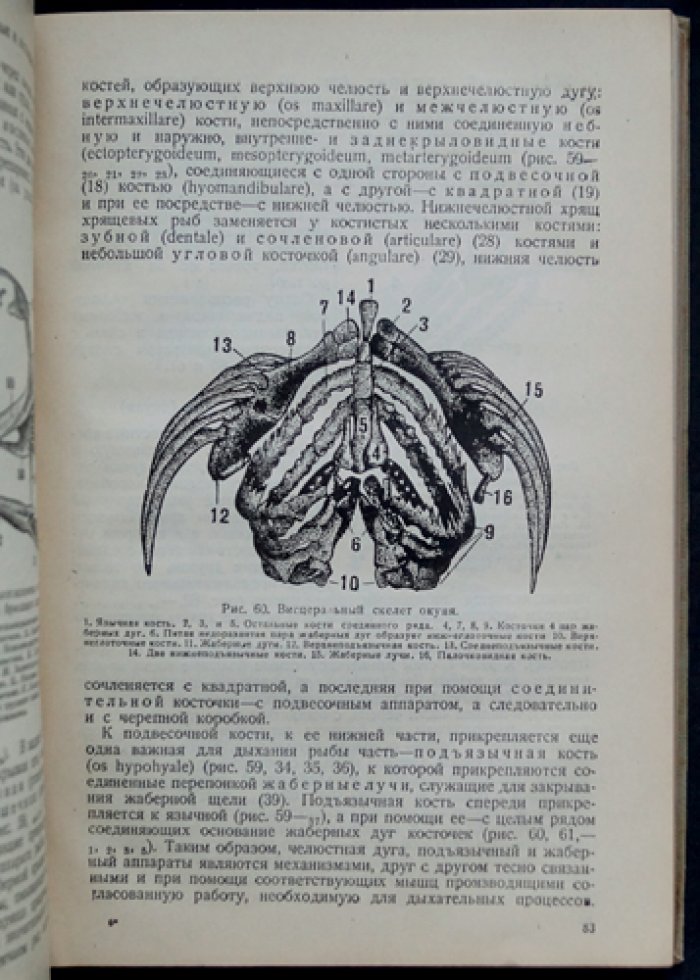 Промысловая ихтиология (в двух книгах) — труды В.К. Солдатова