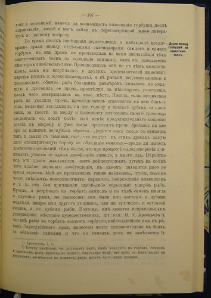 Рыбные промыслы Дальнего Востока: биология лососевых Амура. Часть первая (отчет по командировке 1907–1908 гг.)