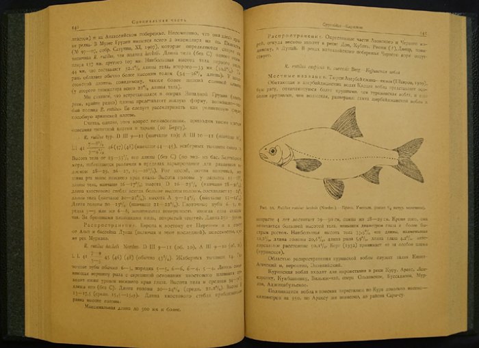 Фауна Грузии. Том I. Рыбы пресных вод (Г. П. Барач, 1941)